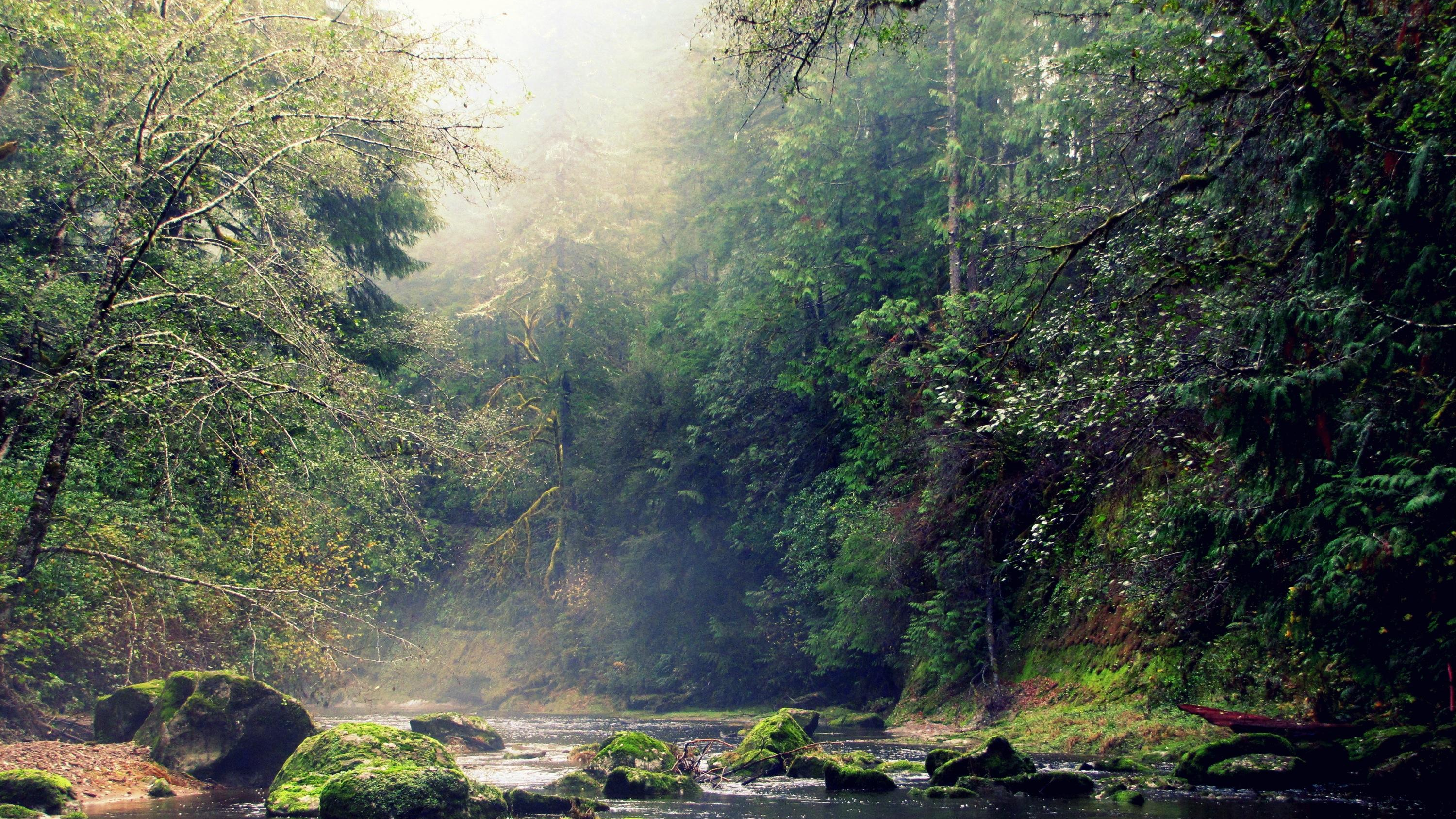 The Continuing Battle Over Management Philosophies on Oregon's Elliott Forest
