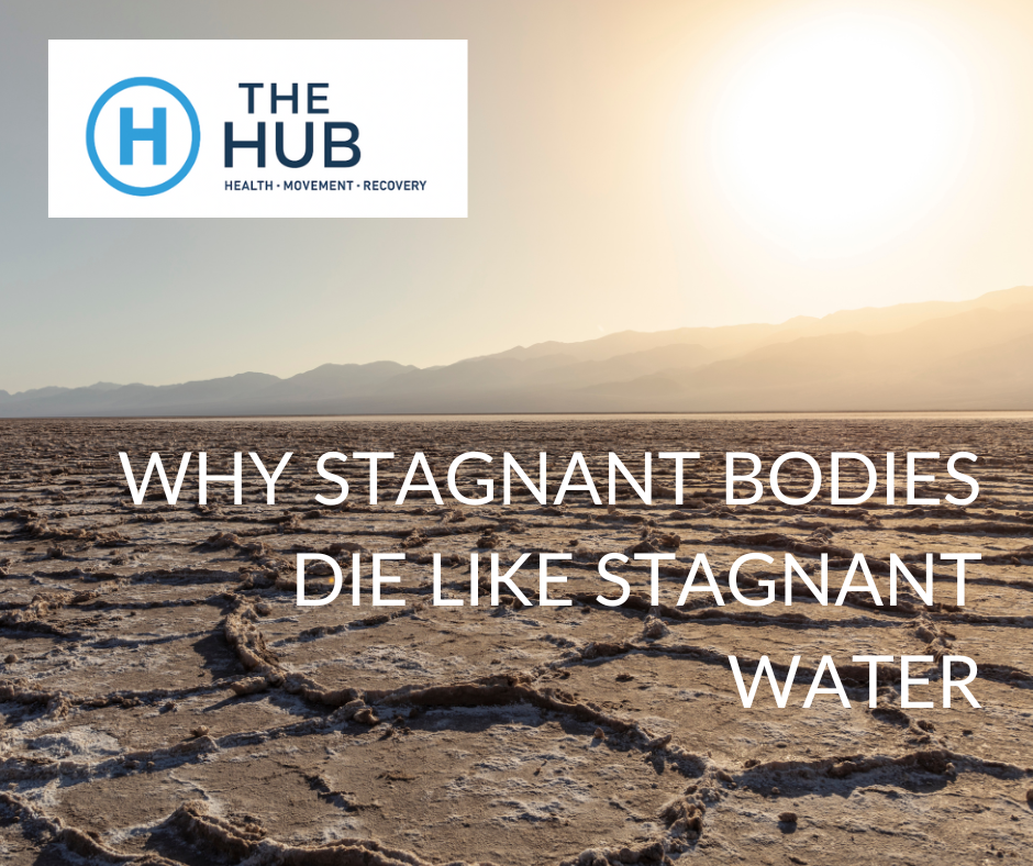 Why Stagnant Bodies Die Like Stagnant Water