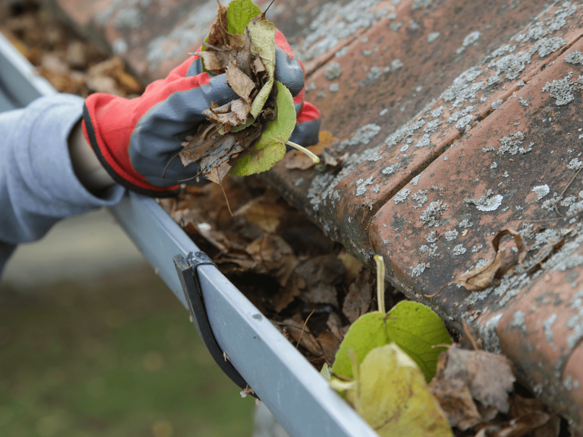 Test Gadget Preview Image