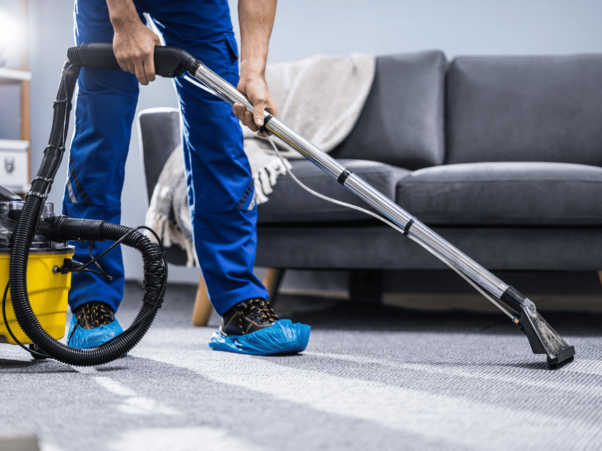 Bailey Boys Services Launches Community Health Initiative With Eco-Friendly Carpet Cleaning Program 1 Test Gadget Preview Image