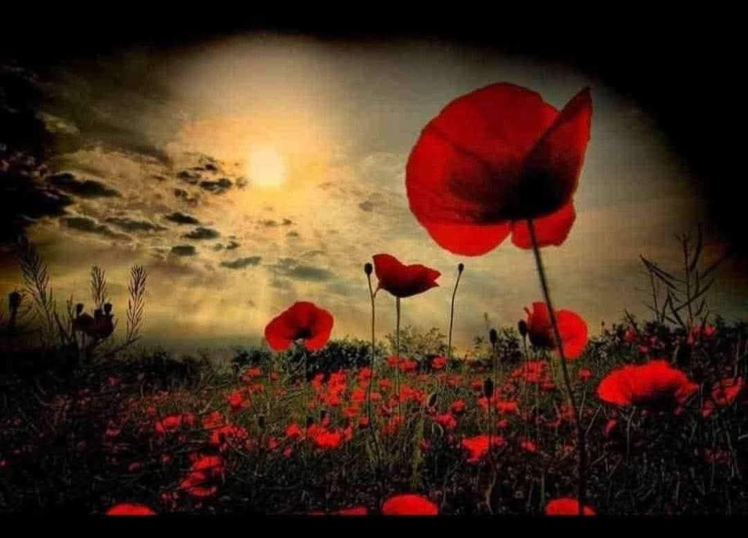 Test Gadget Preview Image